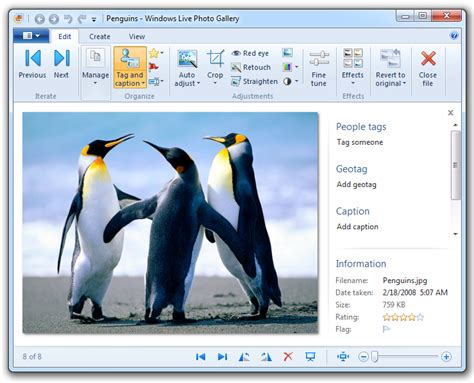 Learn how to use Windows Live Photo Gallery 2011 [Part 2] « Pureinfotech