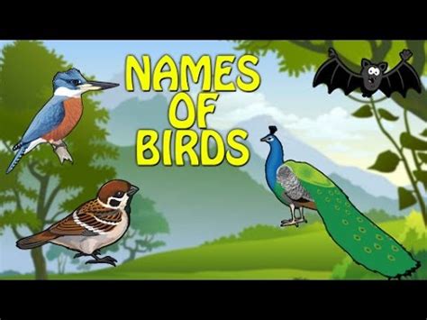 Learn Names Of Birds And Their Sounds With Pictures ...