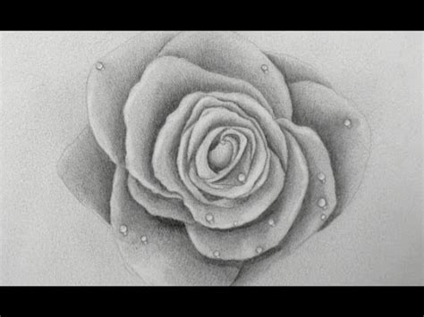 Learn to Draw: How to Draw a Rose   Fine Art Tips   YouTube