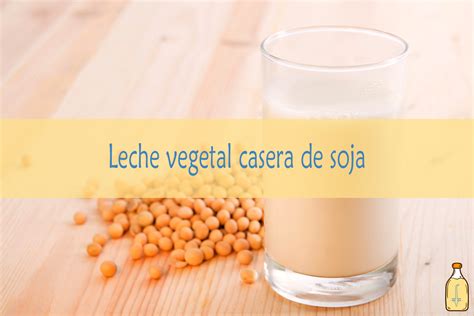 Leche vegetal de soja【 Beneficios y Ventajas】 Bebida de soja