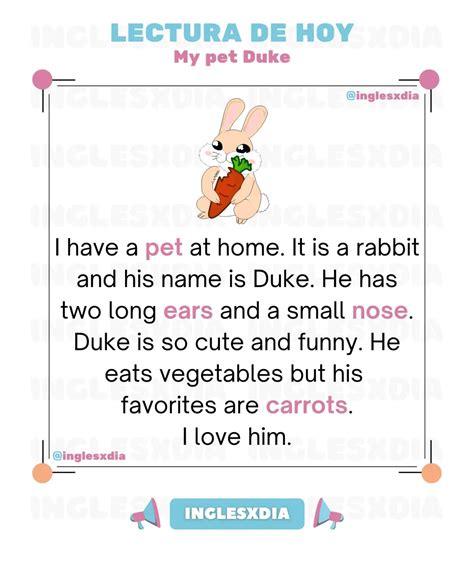 Lectura en inglés · My pet Duke