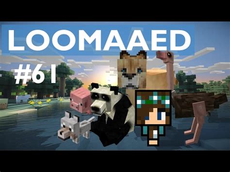 LEIDSIN KODUTEE   Minecraft Loomaaed #61   YouTube