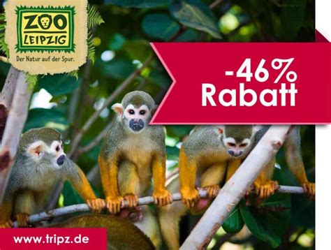 Leipzig Zoo Eintritt Tageskarte Hotel Gutschein Reise Urlaub 4Per in ...
