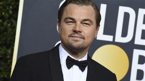 Leonardo DiCaprio dona 3 millones de dólares para combatir ...