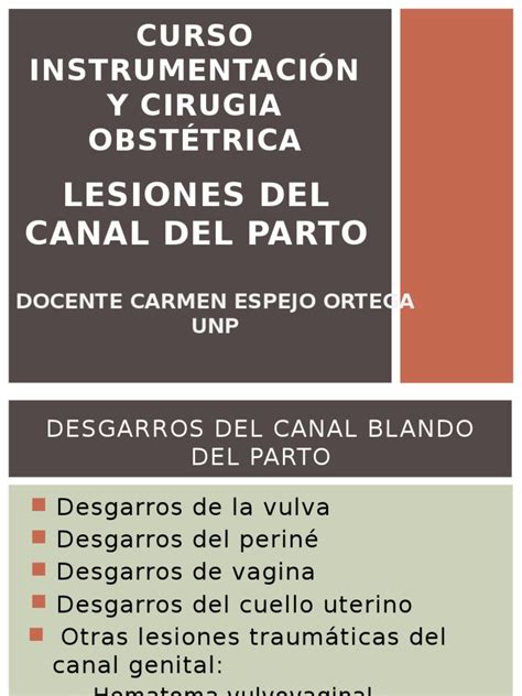 Lesiones Del Canal Del Parto | Parto | Vagina