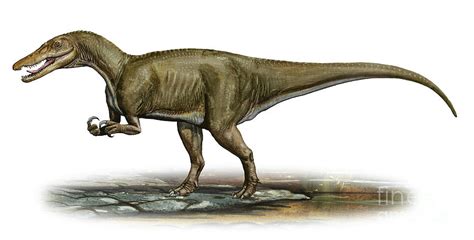Level 8   Animals of the Mesozoic  Dinosaurs , Dinosaurs ...