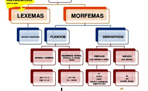 Lexemas y morfemas. Qué son, diferencias y análisis
