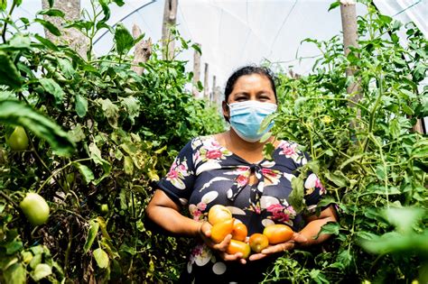 Ley de Agricultura Familiar ya es una realidad en El Salvador | Frente ...