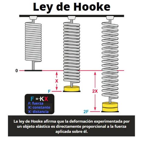 Ley de Hooke: fórmulas, ejemplos, aplicaciones, ejercicios