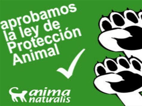 Ley de protección animal | Bienestar animal, Proteccion animal ...