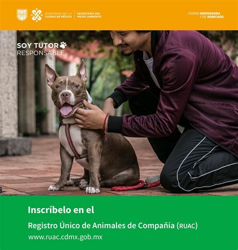 Ley De Protección Animal En México 2019