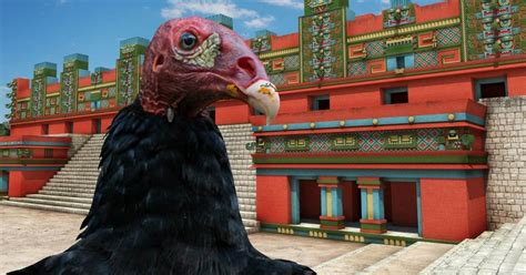 Leyendas de Yucatán: Ch oom, el ave que se convirtió en zopilote | La ...