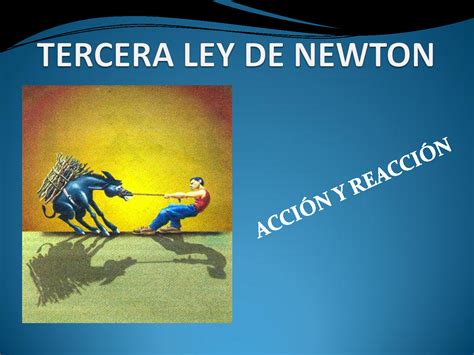 Leyes de Newton | Fisica Paso a Paso