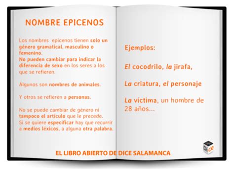 Libro abierto de DICE 239: nombres epicenos | DICE Salamanca