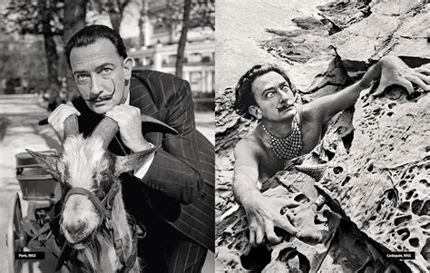Libro Biografía de Dalí, todo sobre la vida del genio | Dosde