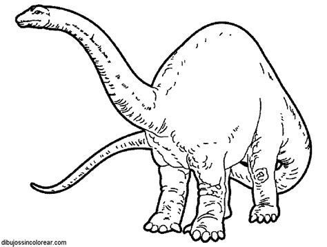 libro de dinosaurios para colorear pdf   Clip Art Library