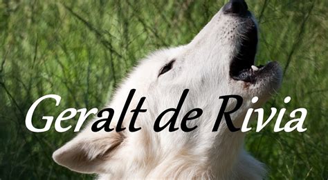 Libros, pelis y otros desvaríos: Geralt de Rivia y su ...