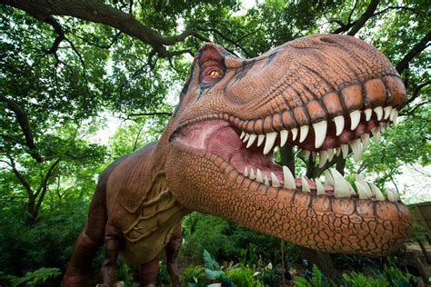 Life size animatronic dinosaurs set to take over Houston ...