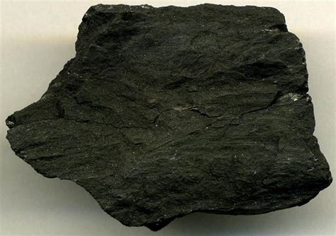 Lignite coal  4.5 cm across