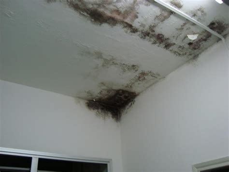 Limpieza de moho en el techo 】 2021 Tips caseros y fáciles