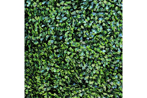 Limsa   Muro verde Badi Olivo