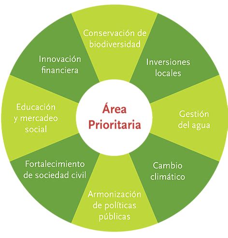 Lineas estratégicas y metas | WWF