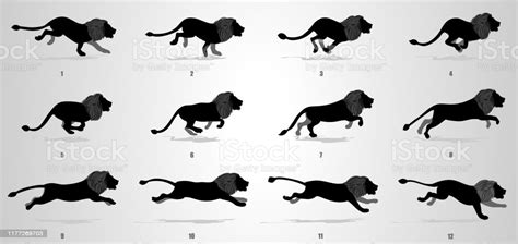 Lion Run Cycle Animation Sequence Stock Illustration ...