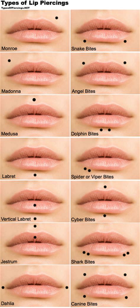 Lip Piercing Types | Fotolip.com Rich image and wallpaper