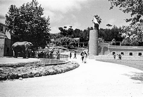 Lisboa de Antigamente: Jardim Zoológico de Lisboa