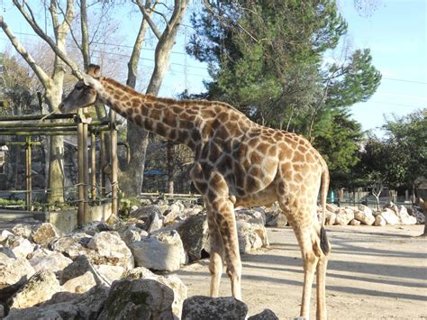 Lisbon Zoo   Best Lisbon Travel Guide 2016 and 2017