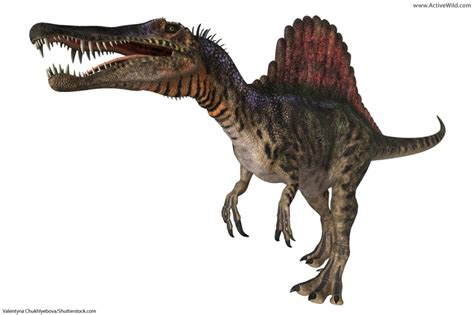 List Of Dinosaurs – Dinosaur Names With Pictures & Information