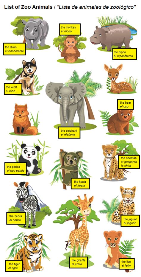 List of Zoo Animals / Lista de animales de zoológico #spanish # ...
