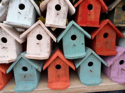 Lista con las 7 mejores casas que un pájaro pueda desear ...