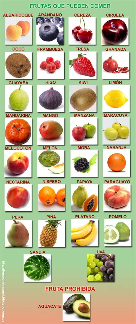Lista de frutas | Lista de frutas, Fruta, Frutas