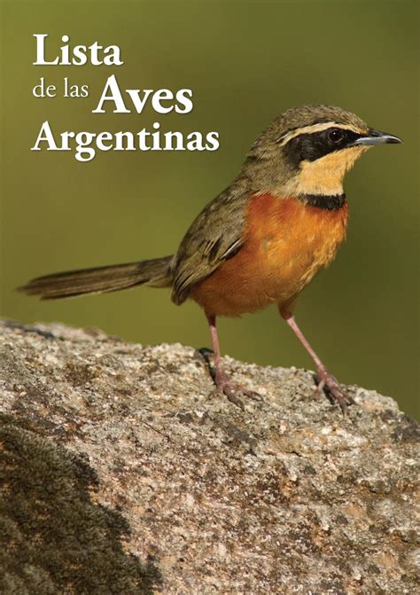 Lista de las aves argentinas by Aves Argentinas   Issuu