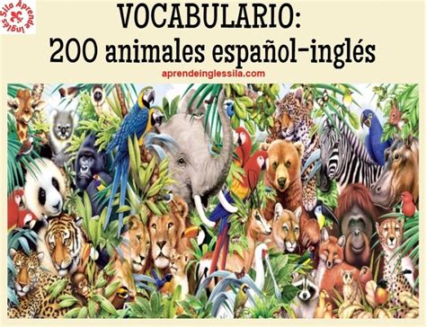 Lista de vocabulario: 200 animales español inglés  con ...