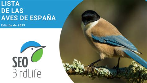 Listado de nombres en euskera de las aves de España ...