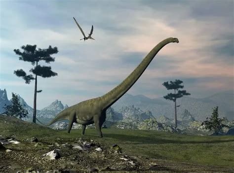 Listado y guía de los dinosaurios de cuello largo   Amigo Dinosaurio  2022