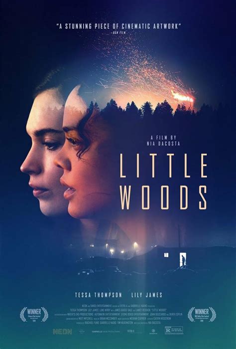 Little Woods  2018    FilmAffinity