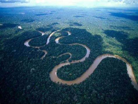 Llanura Amazónica: Tipos, Recursos Naturales y Economía ...