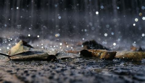 Lluvia ácida: causas, efectos y soluciones BiodiSol