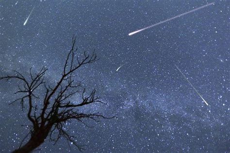 Lluvia de estrellas Perseidas : ¿De qué se trata este fenómeno y ...