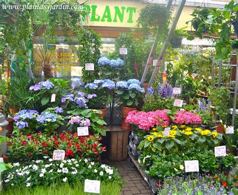 Lo mejor del mes en Plantas & Jardín | Plantas y Jardín