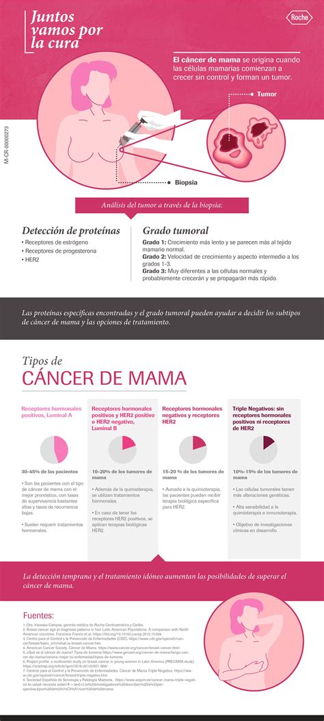 Lo que necesitas saber sobre cáncer de mama triple ...