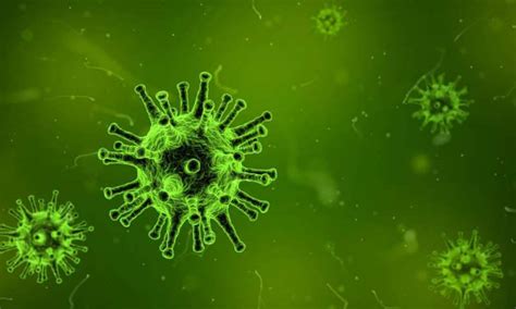 Lo que no sabemos todavía del coronavirus   Miguel del ...