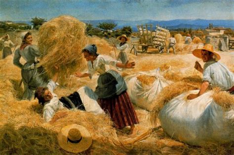 lo que se oculta bajo el sol: El ciclo del trigo. Su cultivo y recogida.