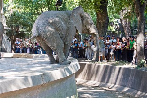 Lo storico zoo di Buenos Aires chiude i battenti | LifeGate