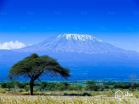 Location Kenya pour vos vacances avec IHA particulier