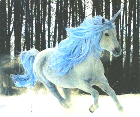 loco pero no Estupido: Unicornio Azul