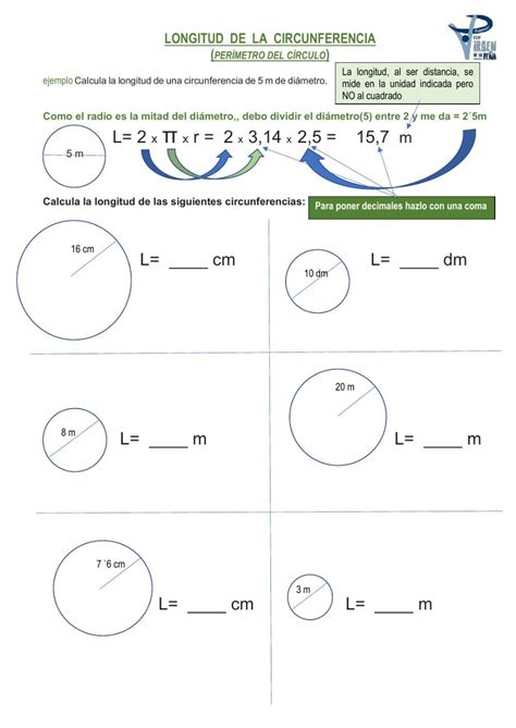 Longitud de la circunferencia   Ficha interactiva | Caratulas de ...